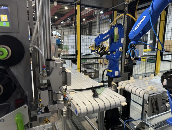 Automation equipment and robotic cells